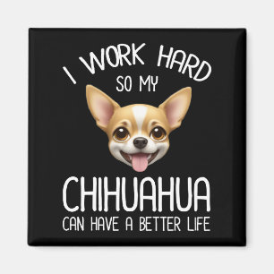 Ich arbeite hart, damit mein Chihuahua ein bessere Magnet