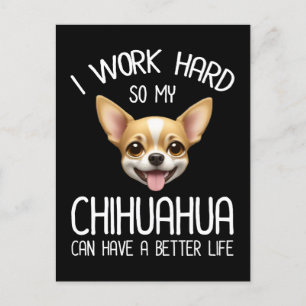 Ich arbeite hart, damit mein Chihuahua ein bessere Postkarte
