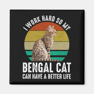 Ich arbeite hart, damit meine Bengalkatze ein bess Magnet