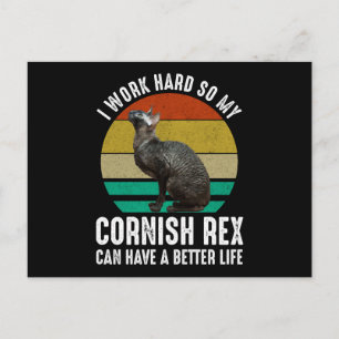 Ich arbeite hart, damit meine Cornish Rex ein bess Postkarte
