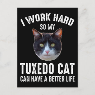 Ich arbeite hart, damit meine Tuxedo Katze ein bes Postkarte