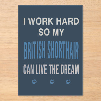Ich arbeite hart für meine Britisch Kurzhaar Acryleinladungen