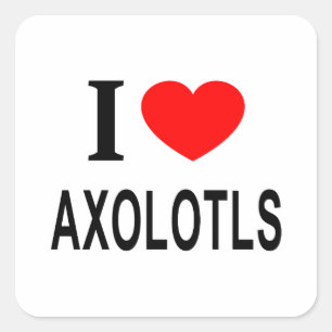 Ich ❤️ AXOLOTL Ich liebe Axolotl Ich liebe AXOLOTL Quadratischer Aufkleber