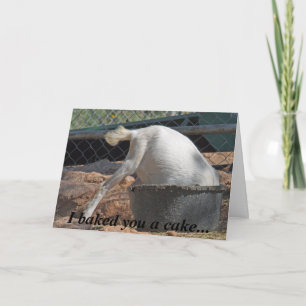 Ich backte Sie ein Kuchen… Geburtstags-Karte Karte