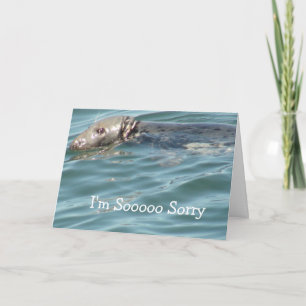 Ich bedauere die Karte