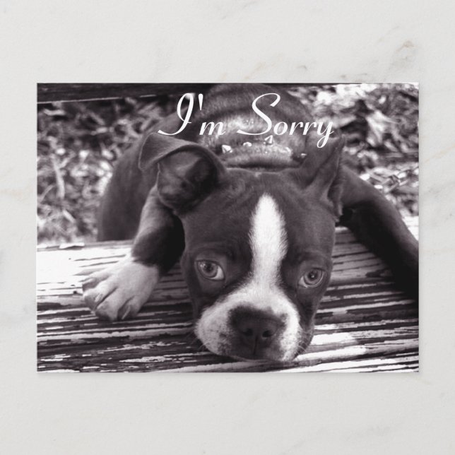 Ich bedauere die Karte (Vorderseite)