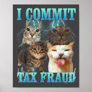 Ich begehe Steuerbetrug Lustiges Katzen-Meme-Bootl Poster
