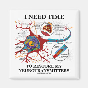 Ich benötige Zeit, meine Neurotransmitter wieder Magnet