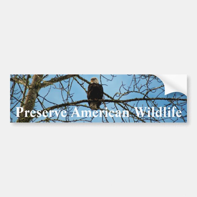 Ich beobachte dich autoaufkleber (Vorne)