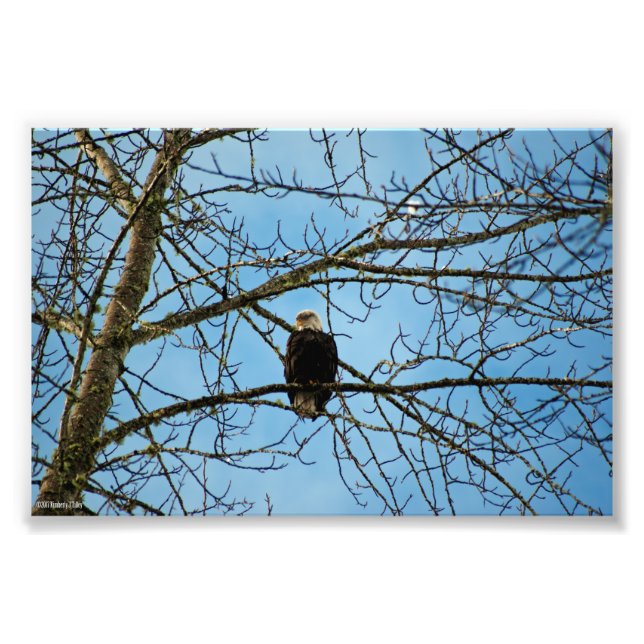 Ich beobachte dich fotodruck (Vorne)