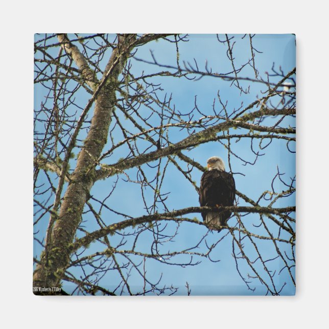 Ich beobachte dich magnet (Vorne)