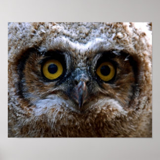 Ich beobachte dich poster