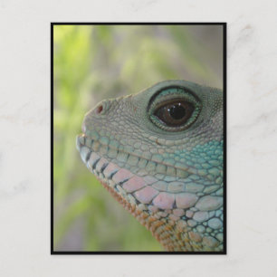 Ich beobachte dich - Postkarte