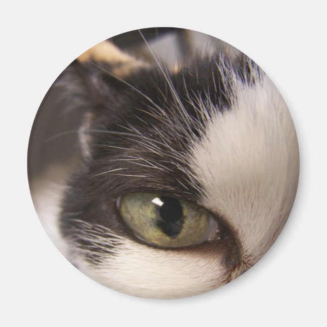 Ich beobachte magnet (Vorne)