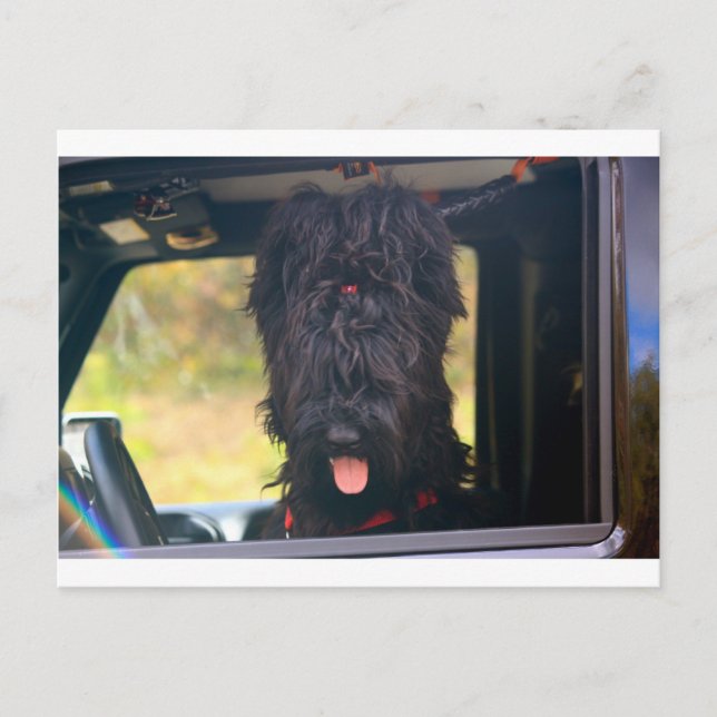 Ich besitze diesen Jeep Postkarte (Vorderseite)