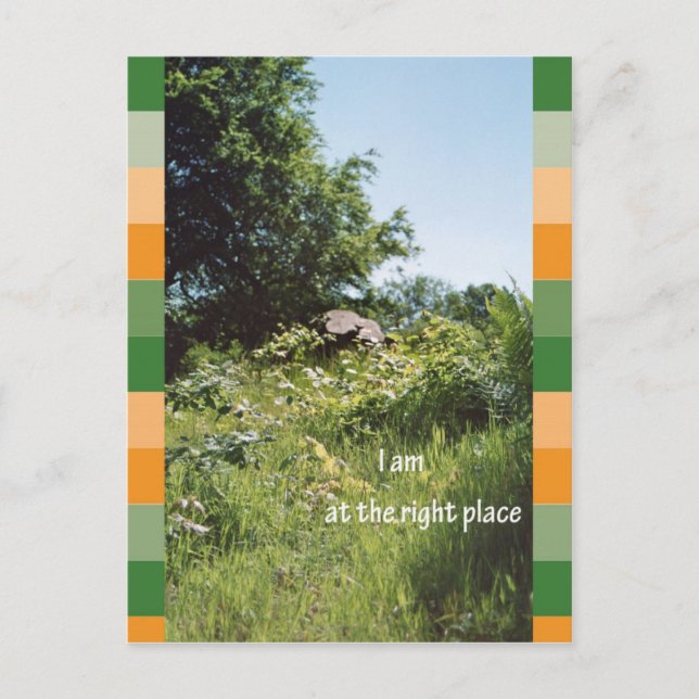 Ich bin am richtigen Ort Postkarte (Vorderseite)
