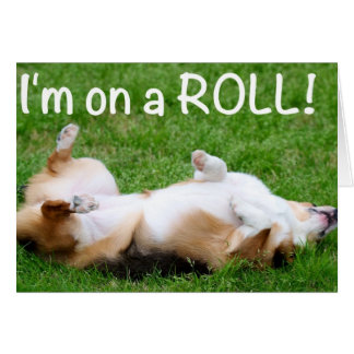 Ich bin auf einem ROLL!