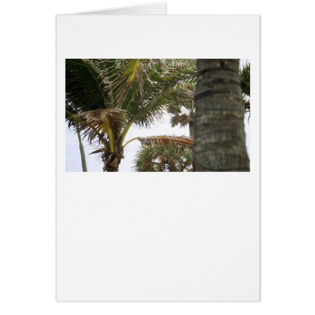 Ich bin auf Island Time! (Vorne)