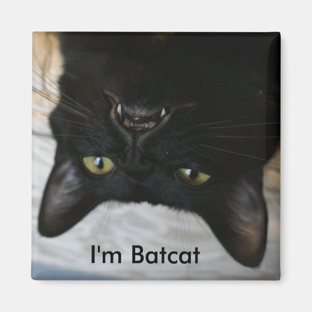 Ich bin Batcat Magnet (Vorne)
