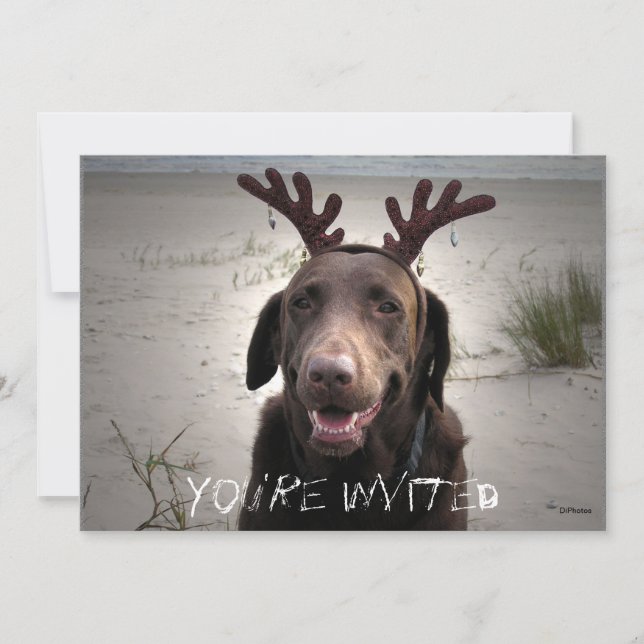 Ich bin bereit einladung (Vorderseite)