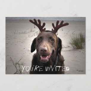 Ich bin bereit einladung