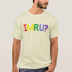 Ich bin bin Sie IMRU Regenbogen-Stolz T-Shirt