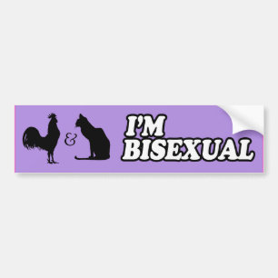 ICH BIN BISEXUELL -.png Autoaufkleber