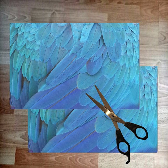 Ich bin blau - Papageienfedern nah Seidenpapier (Von Creator hochgeladen)