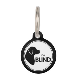 Ich bin Blinder, stylischer Schwarzer Hund mit kna Haustiermarke