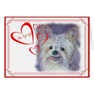 ICH BIN DEIN VALENTINE NIEDLICH WHITE YORKIE MIX