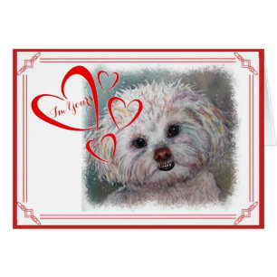 ICH BIN DEIN VALENTINE SWEET WHITE MALTESE YORKIE