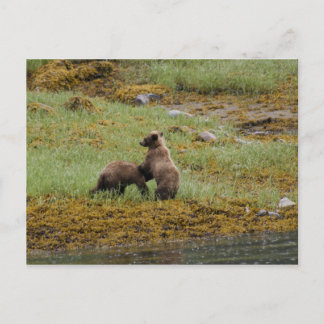 Ich bin der Boss Postkarte