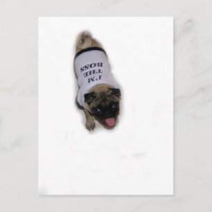 "Ich bin der Boss" Postkarte