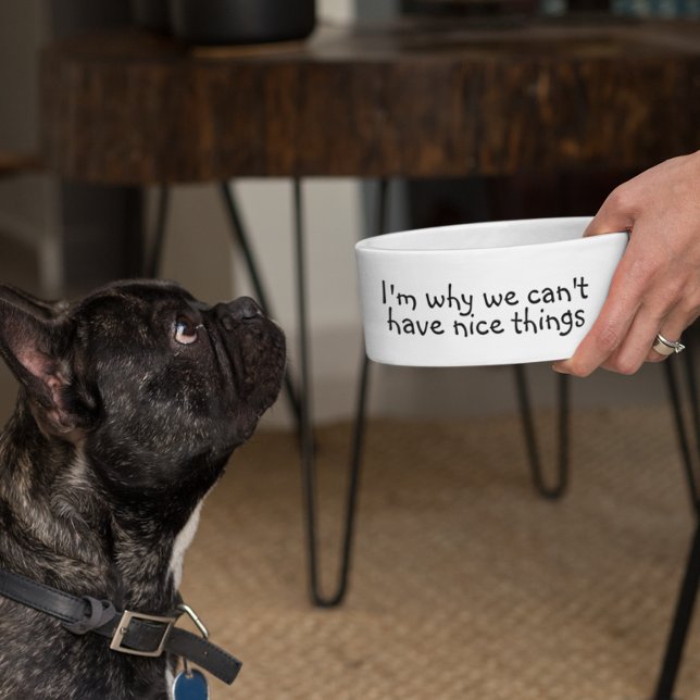 Ich bin der Grund, warum wir keine schönen Dinge l Napf (Von Creator hochgeladen)