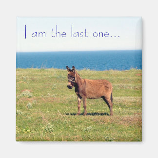 Ich bin der Letzte... Magnet