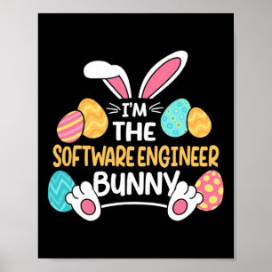 Ich bin der Software-Ingenieur-Hase-Entwickler Ost Poster