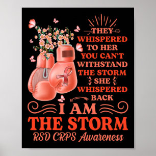 Ich bin der Sturm RSD CRPS Awareness Boxing Handsc Poster