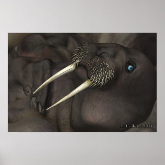 Ich bin der Walrus Poster