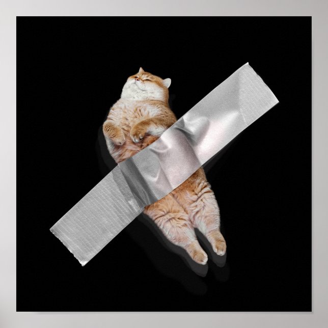 Ich bin die beste Banane! Poster (Vorne)