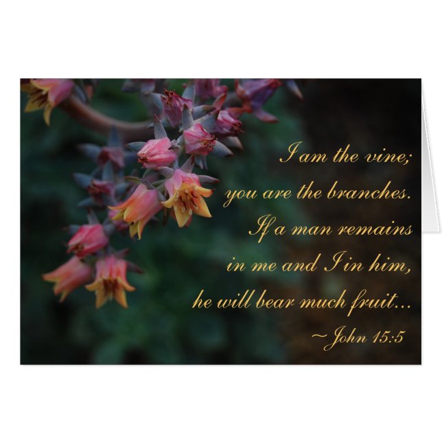 Ich bin die Rebe… John-15:5 (Vorderseite (Horizontal))