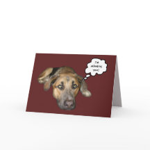 Ich bin dir vermisst!