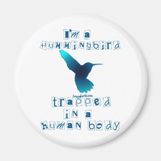 Ich bin ein Hummingbird Magnet