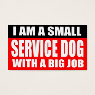 Ich bin ein kleiner Service-Hund mit einem großen