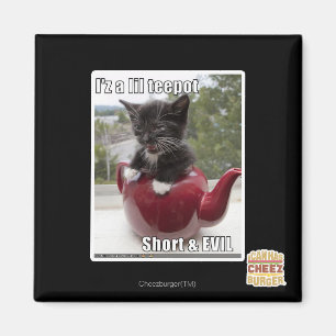 Ich bin ein kleiner Teepot Magnet