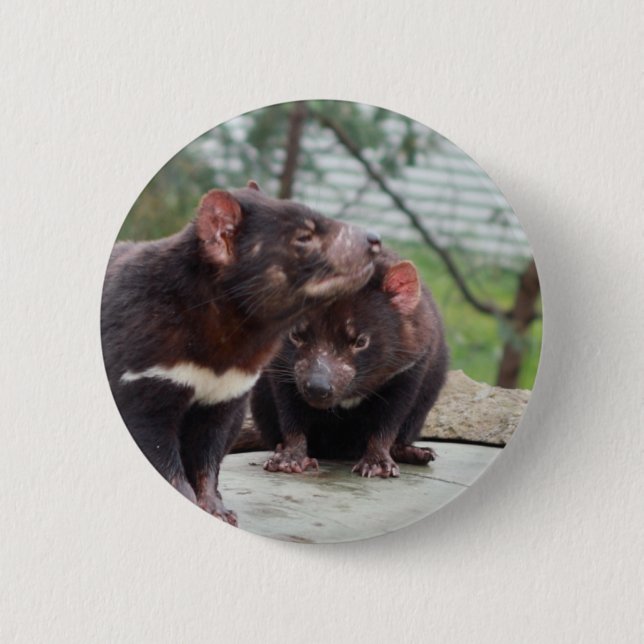 Ich bin ein kleiner Teufel Button (Vorderseite)