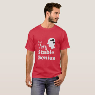 Ich bin ein sehr stabiles Genie T-Shirt