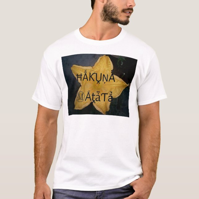 Ich bin ein Stern innen. T-Shirt (Vorderseite)