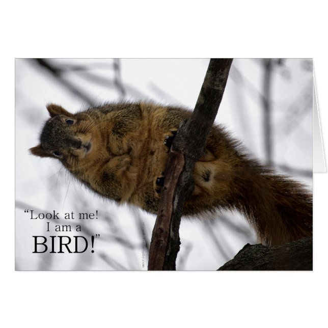 Ich bin eine BIRD! (Vorderseite (Horizontal))