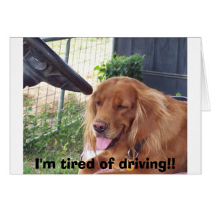 Ich bin es leid zu fahren!!