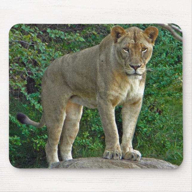 Ich bin Frau! Mousepad (Vorne)